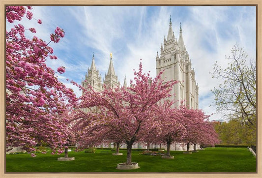 Salt Lake Spring Blossoms