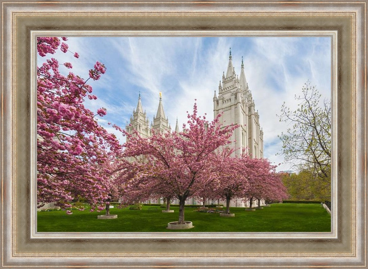 Salt Lake Spring Blossoms