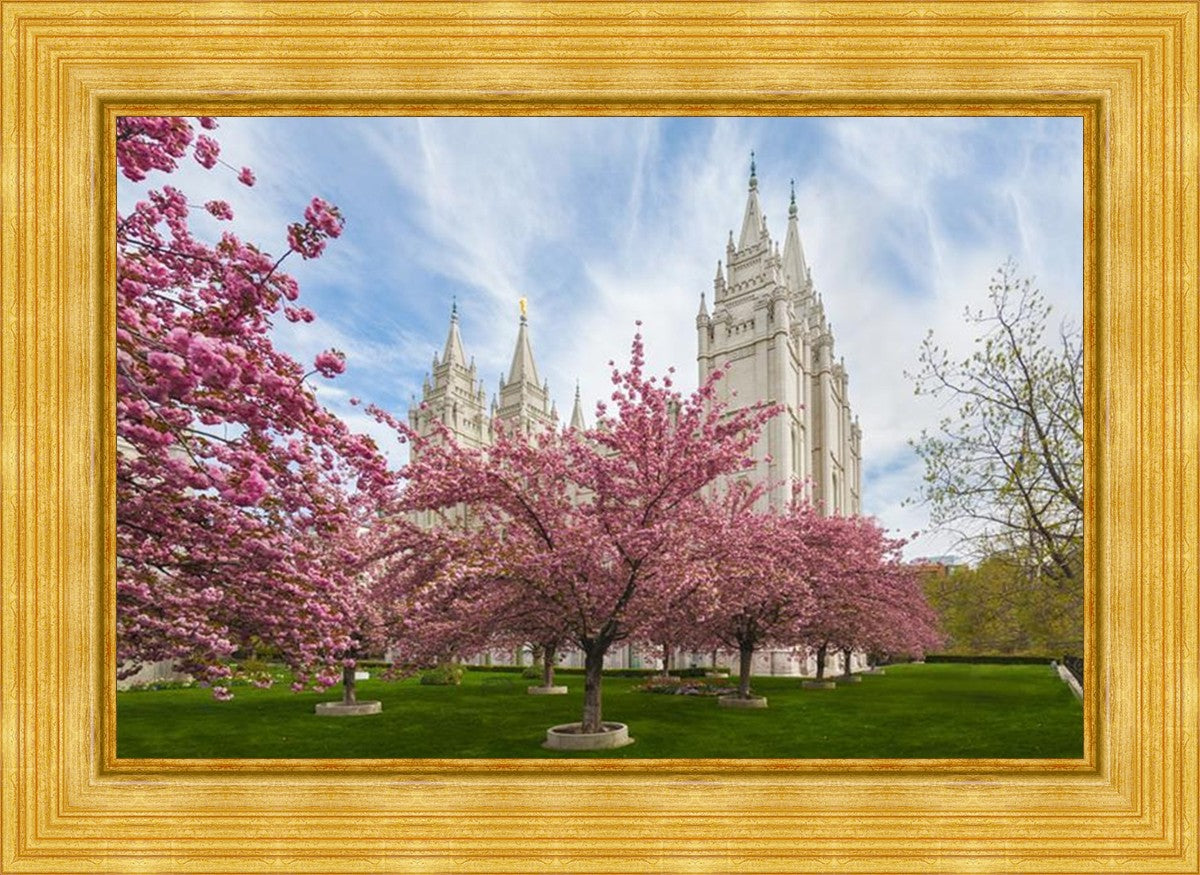 Salt Lake Spring Blossoms