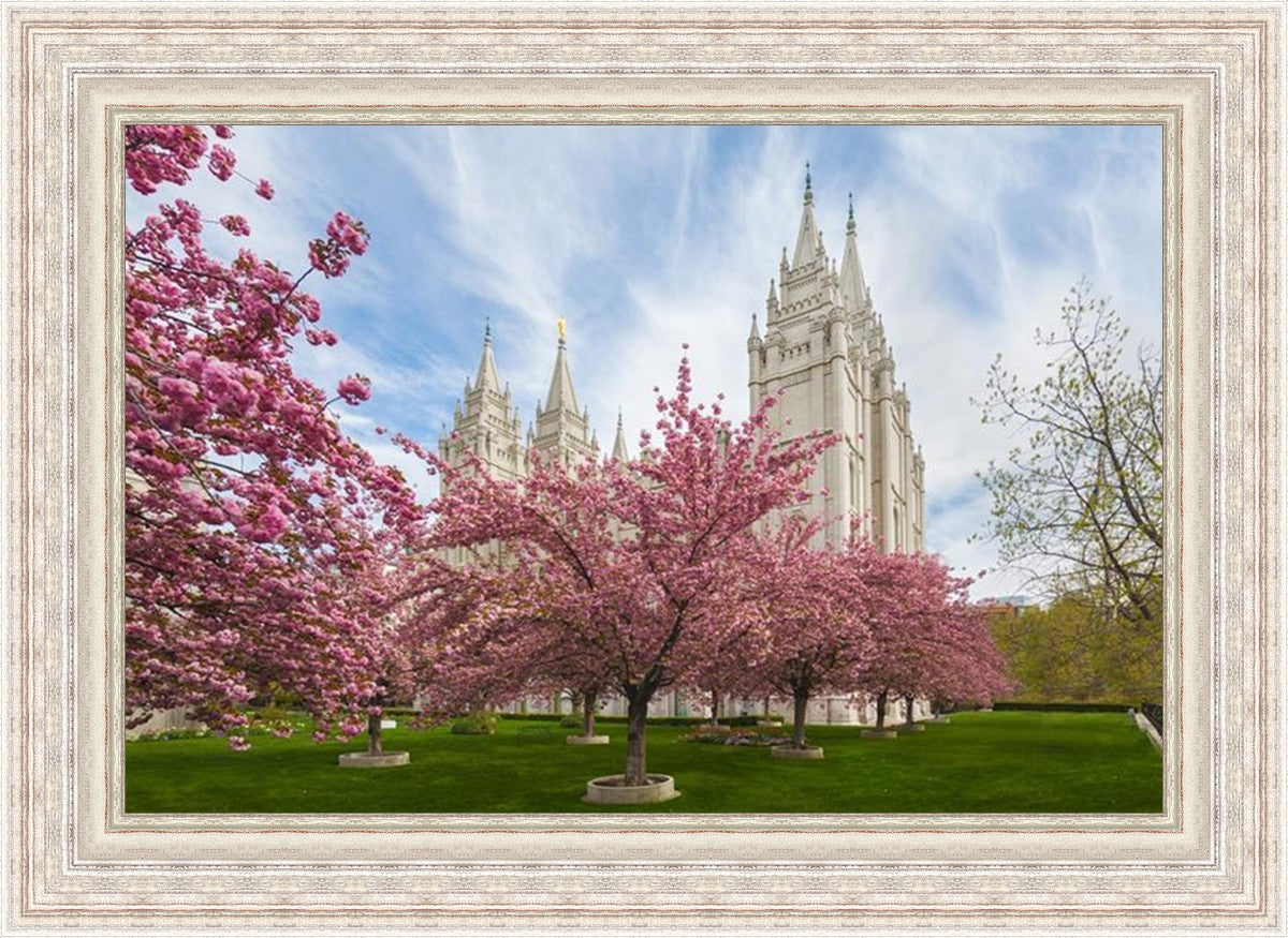 Salt Lake Spring Blossoms