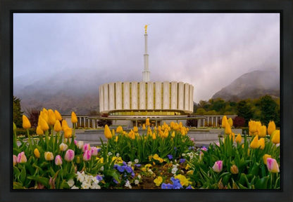 Provo Spring Tulips Gallery Wrap