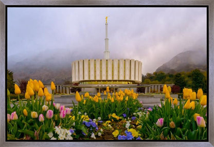 Provo Spring Tulips Gallery Wrap