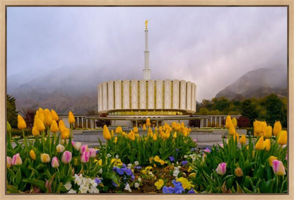 Provo Spring Tulips Gallery Wrap