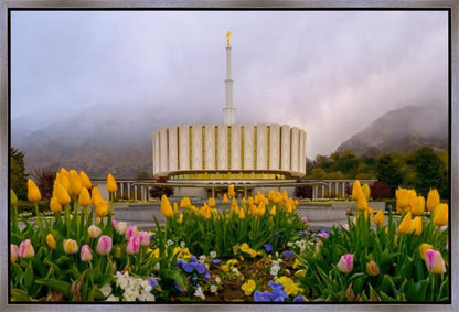 Provo Spring Tulips Gallery Wrap