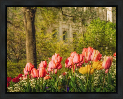 Salt Lake In The Garden Gallery Wrap