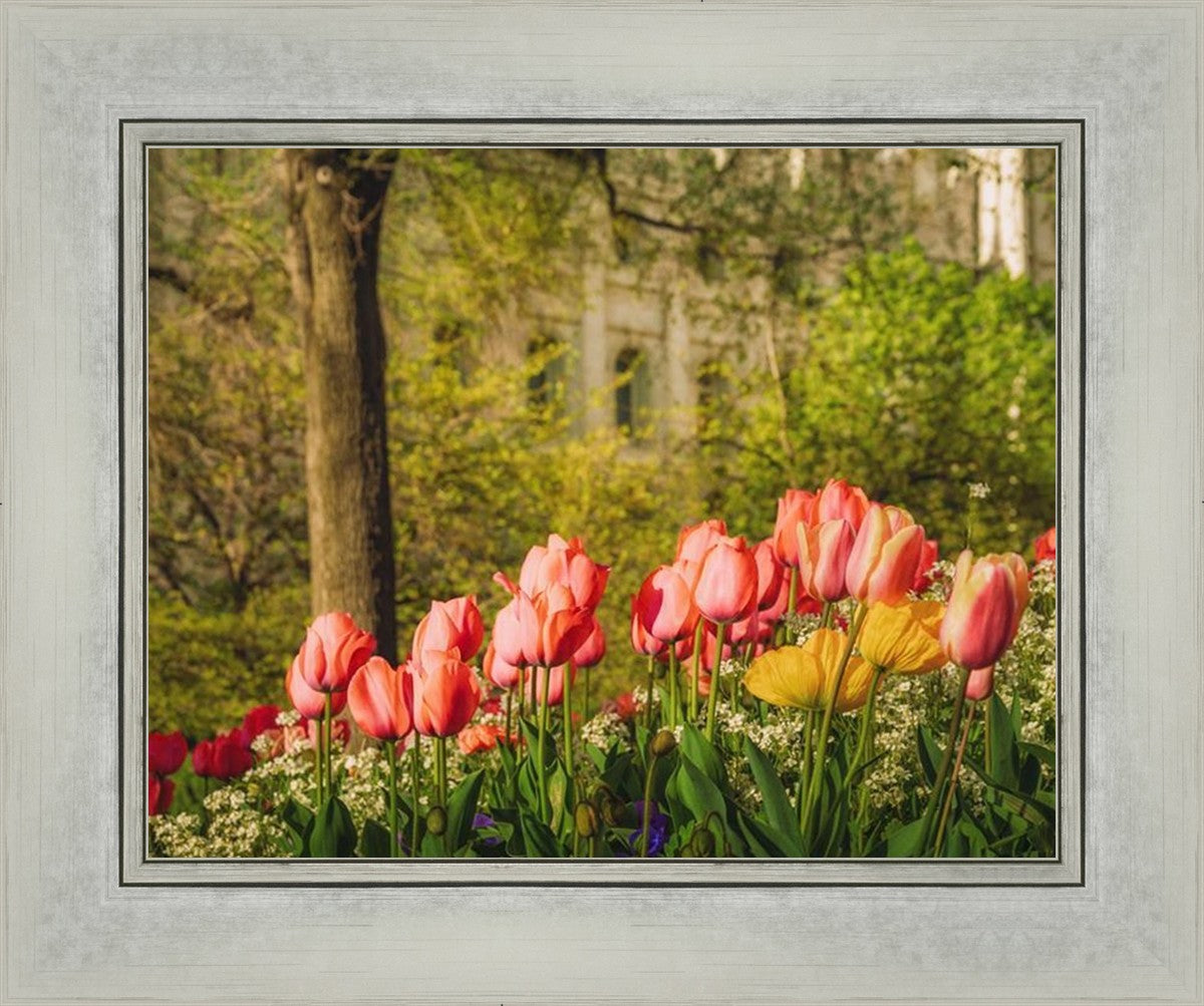 Salt Lake in the Garden