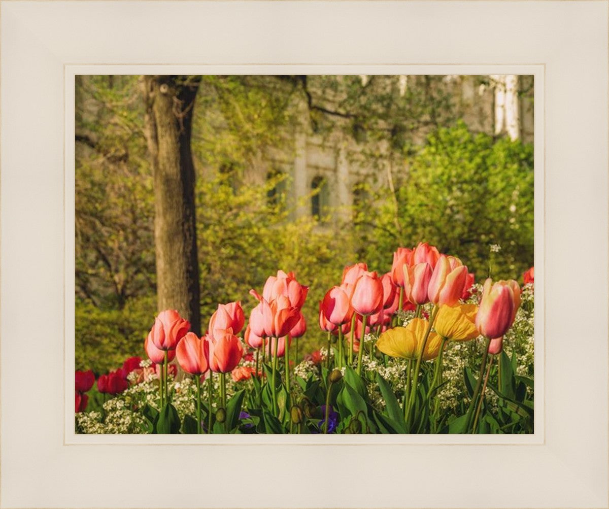 Salt Lake in the Garden