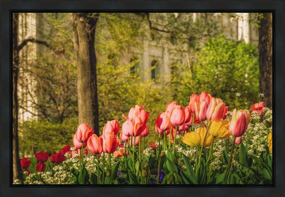 Salt Lake In The Garden Gallery Wrap