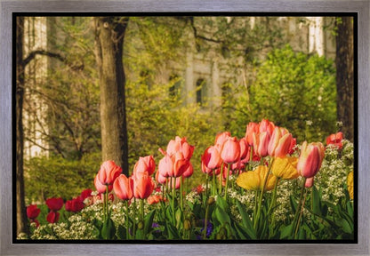 Salt Lake In The Garden Gallery Wrap