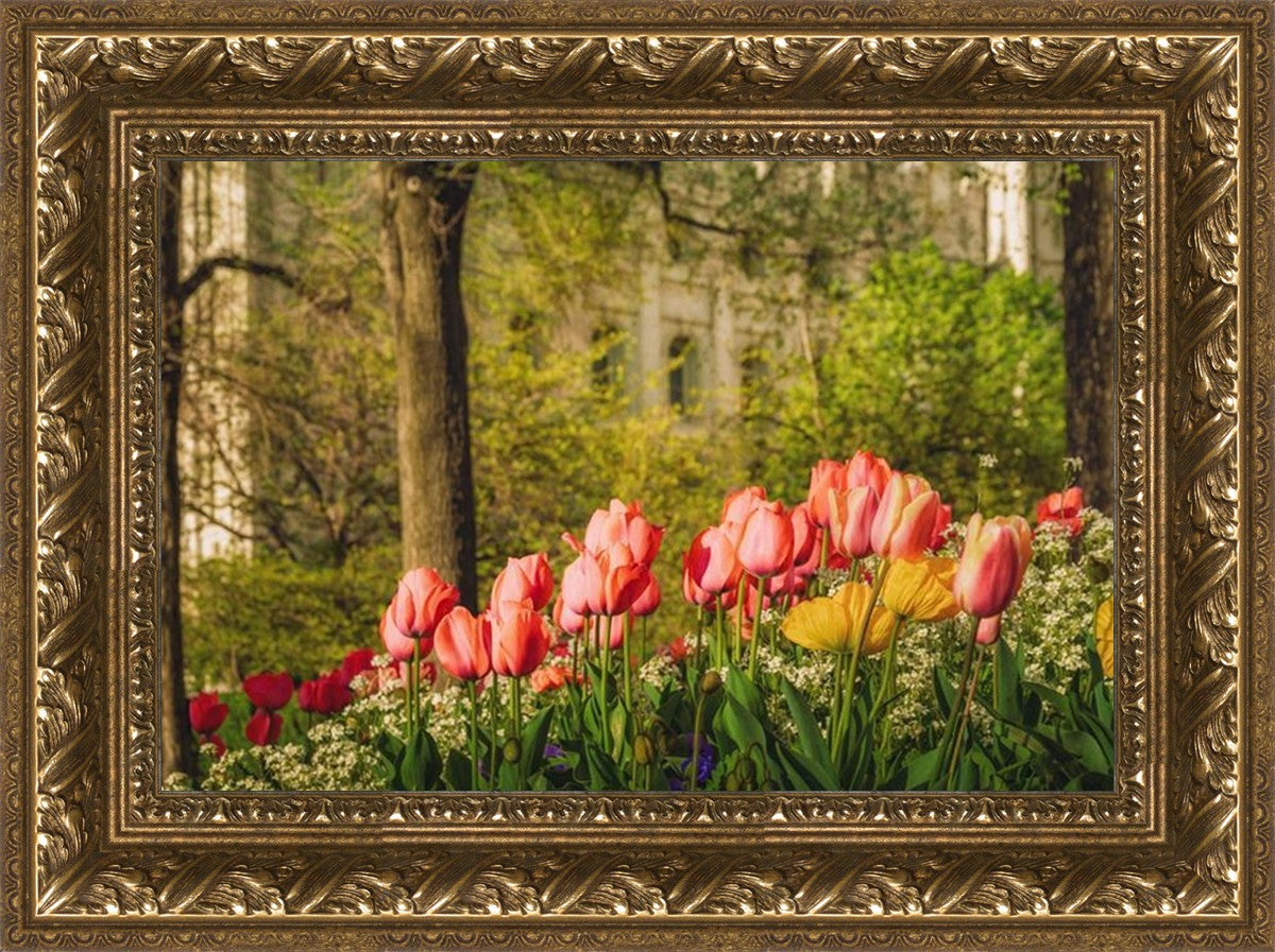 Salt Lake in the Garden