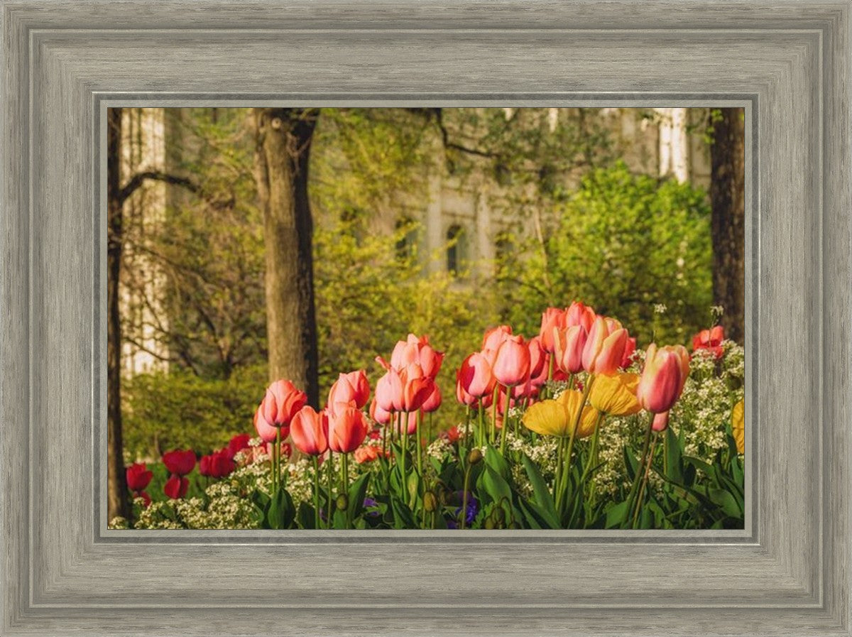 Salt Lake in the Garden