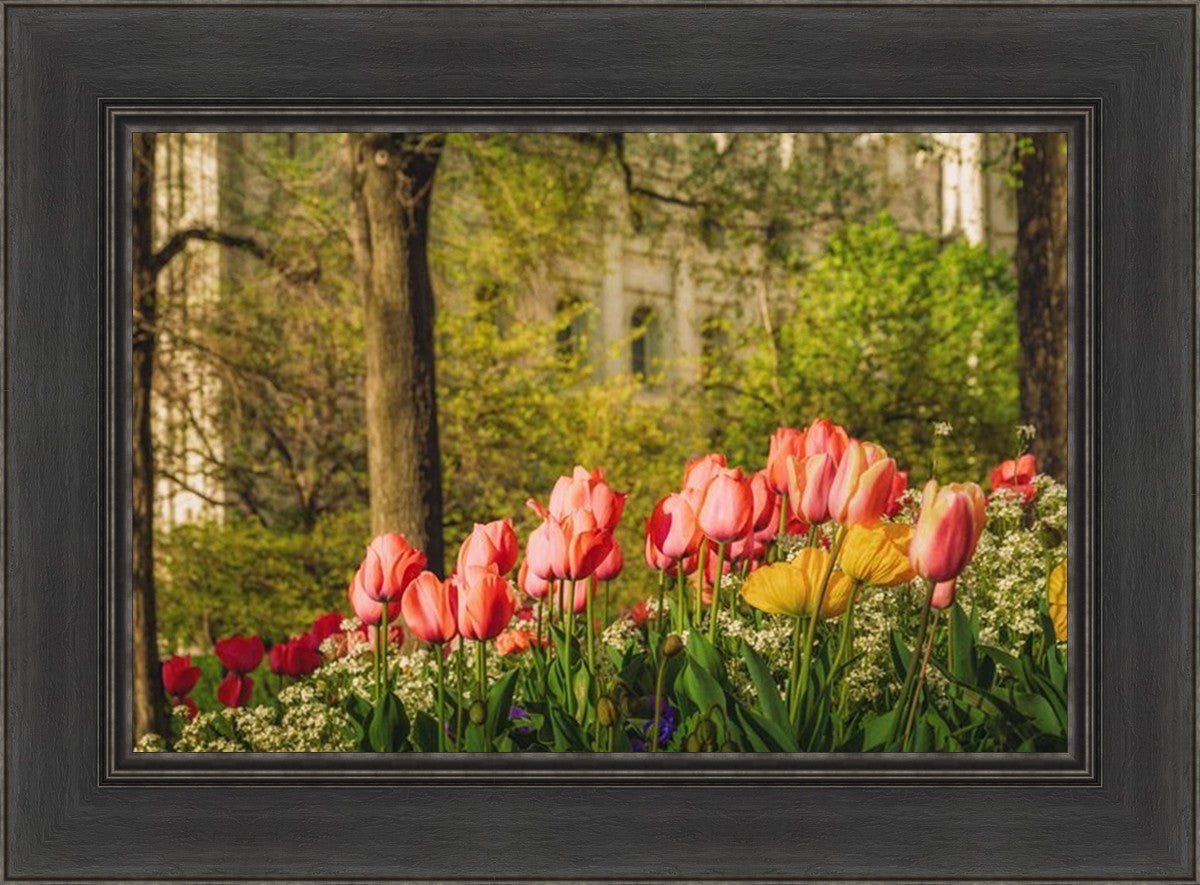 Salt Lake in the Garden