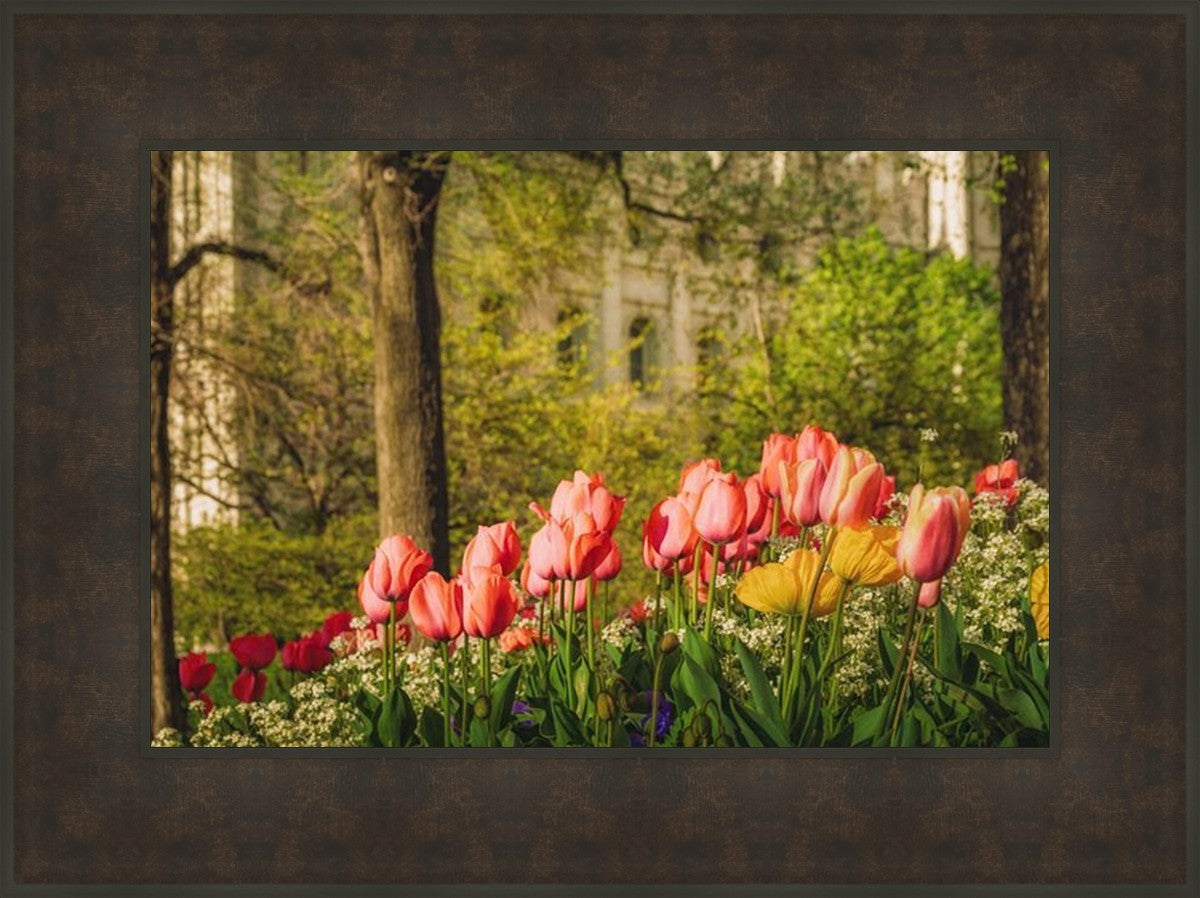 Salt Lake in the Garden
