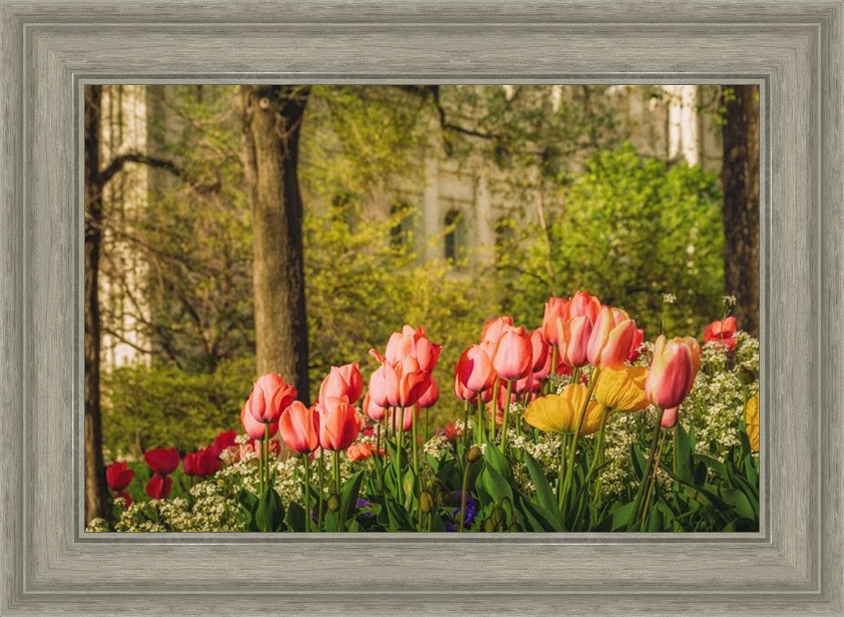 Salt Lake in the Garden