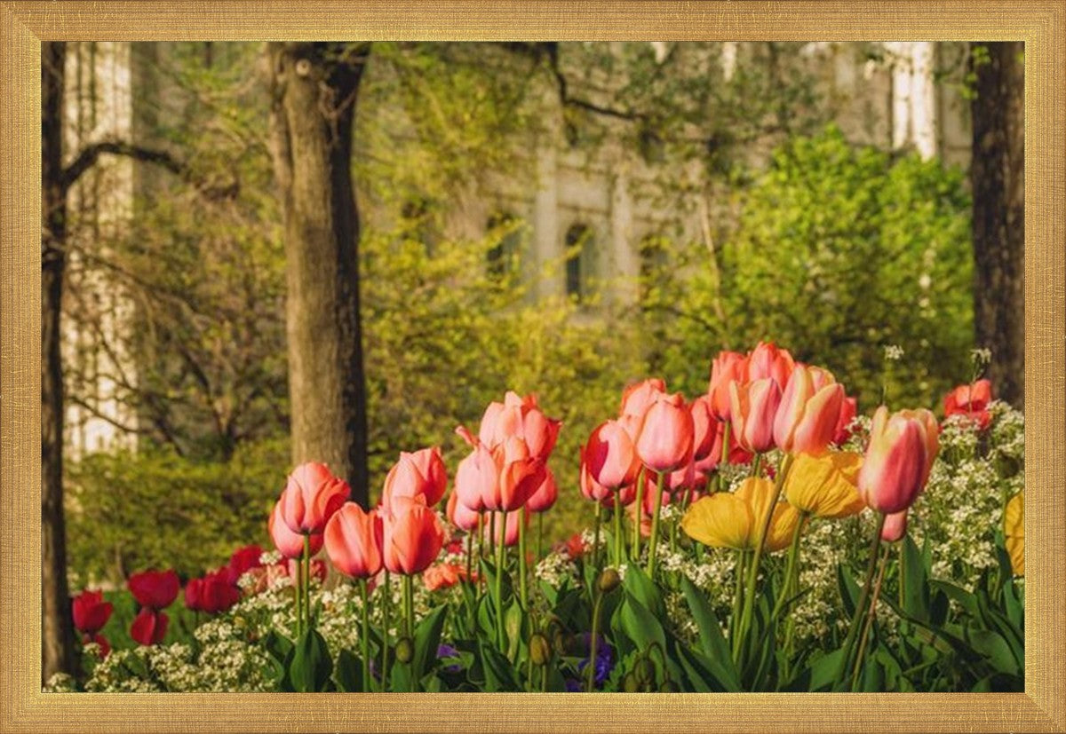 Salt Lake in the Garden