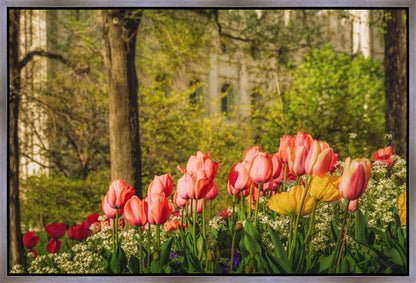 Salt Lake In The Garden Gallery Wrap