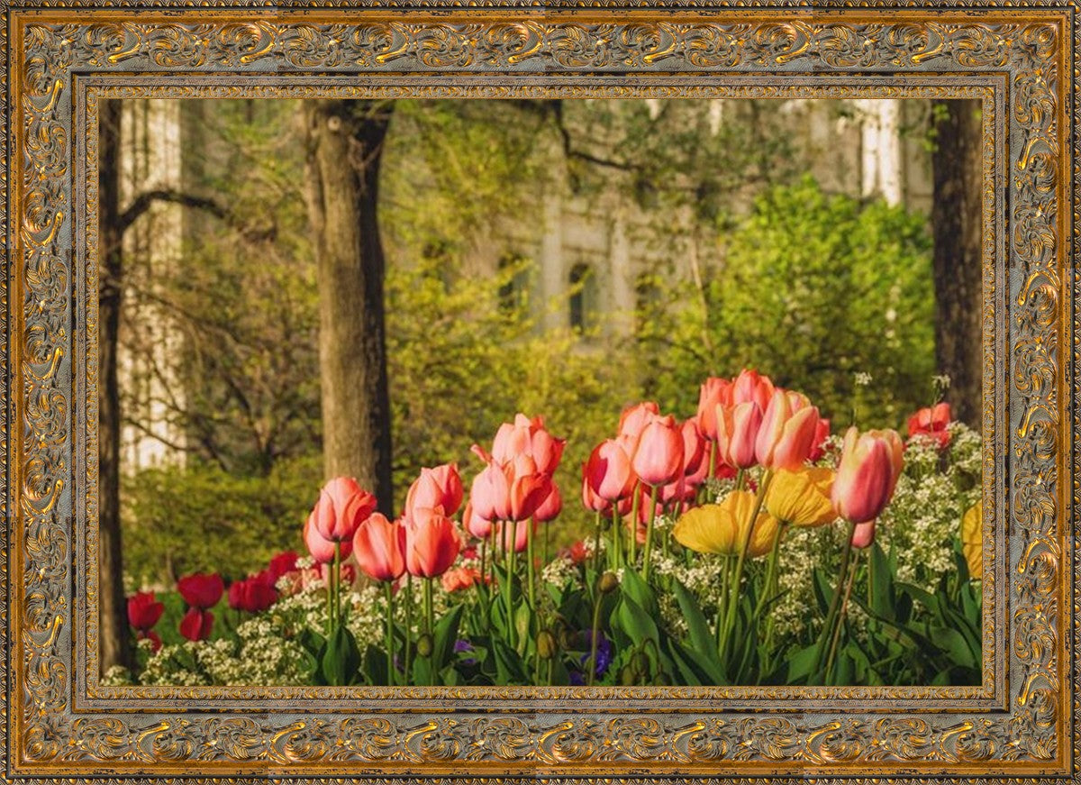 Salt Lake in the Garden