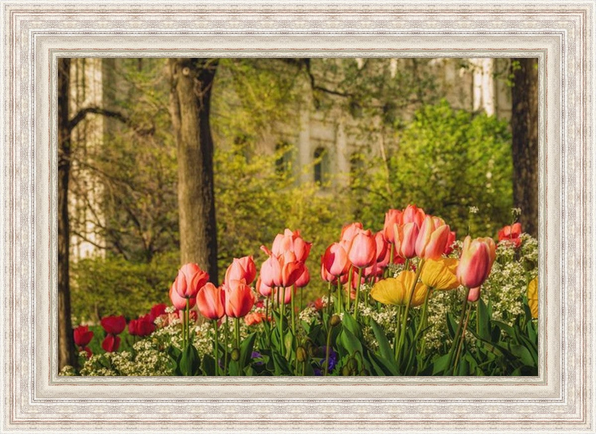 Salt Lake in the Garden