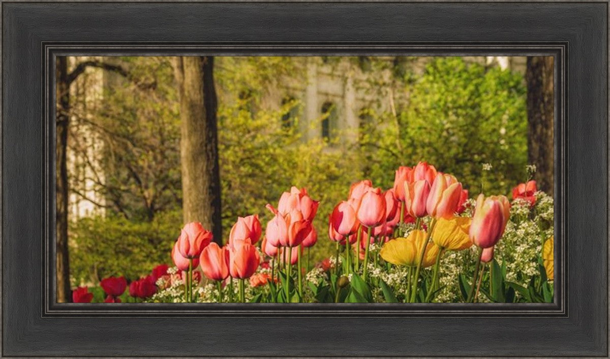 Salt Lake in the Garden