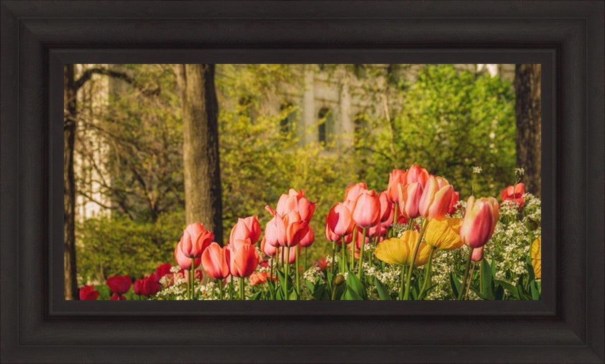 Salt Lake in the Garden