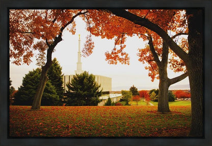 Provo Sanctuary Gallery Wrap