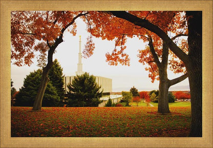 Provo Sanctuary