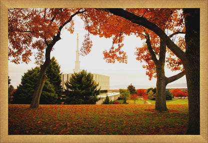 Provo Sanctuary