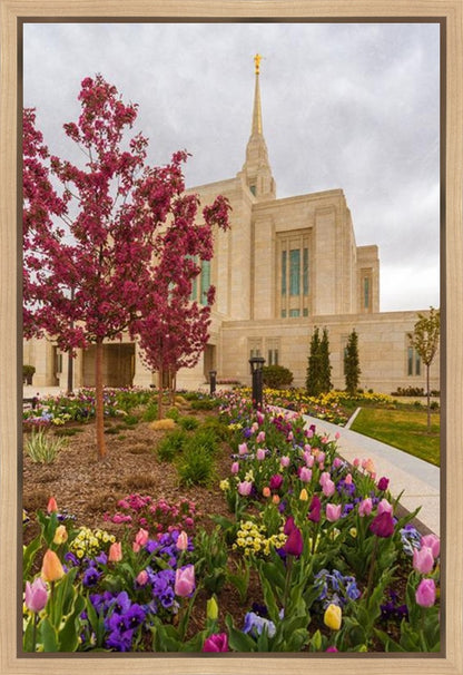 Ogden Tulips Gallery Wrap