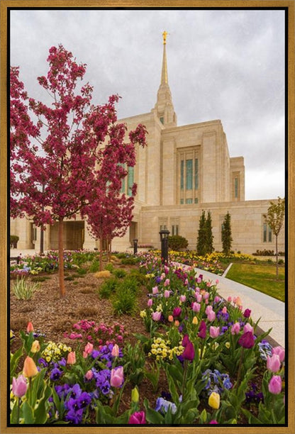 Ogden Tulips Gallery Wrap