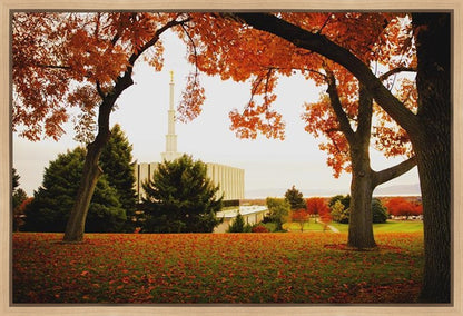 Provo Sanctuary Gallery Wrap