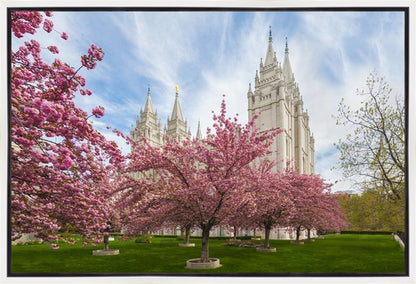 Salt Lake Spring Blossoms Gallery Wrap
