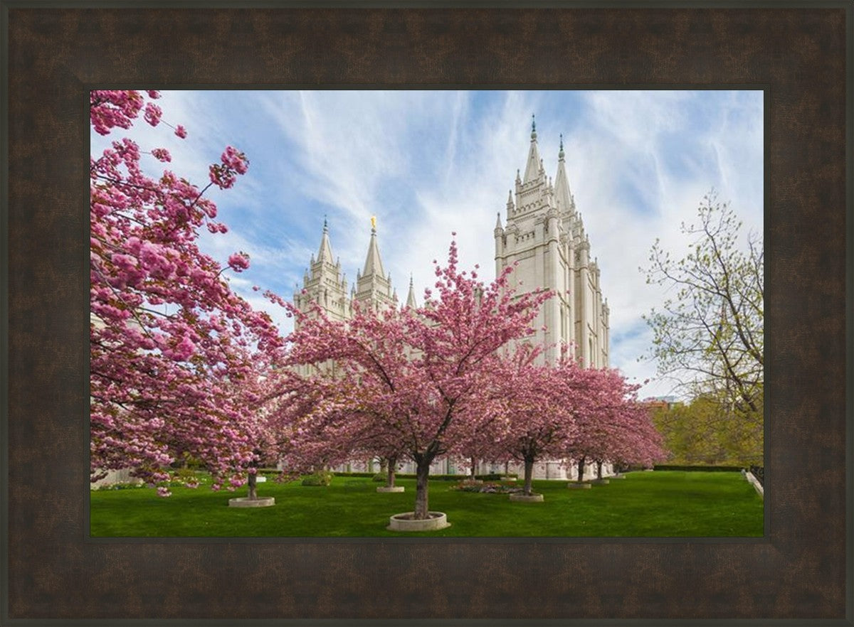 Salt Lake Spring Blossoms