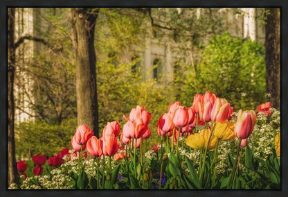 Salt Lake In The Garden Gallery Wrap