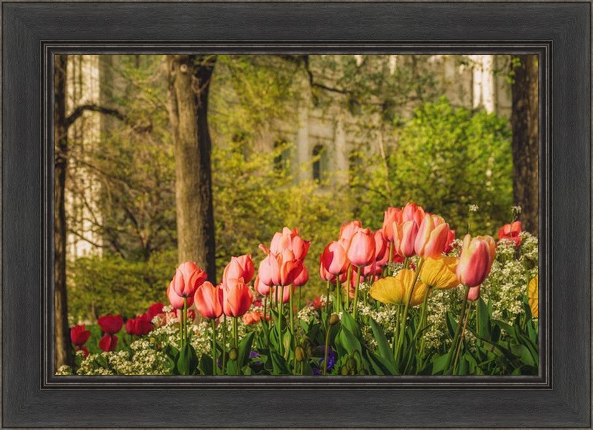 Salt Lake in the Garden