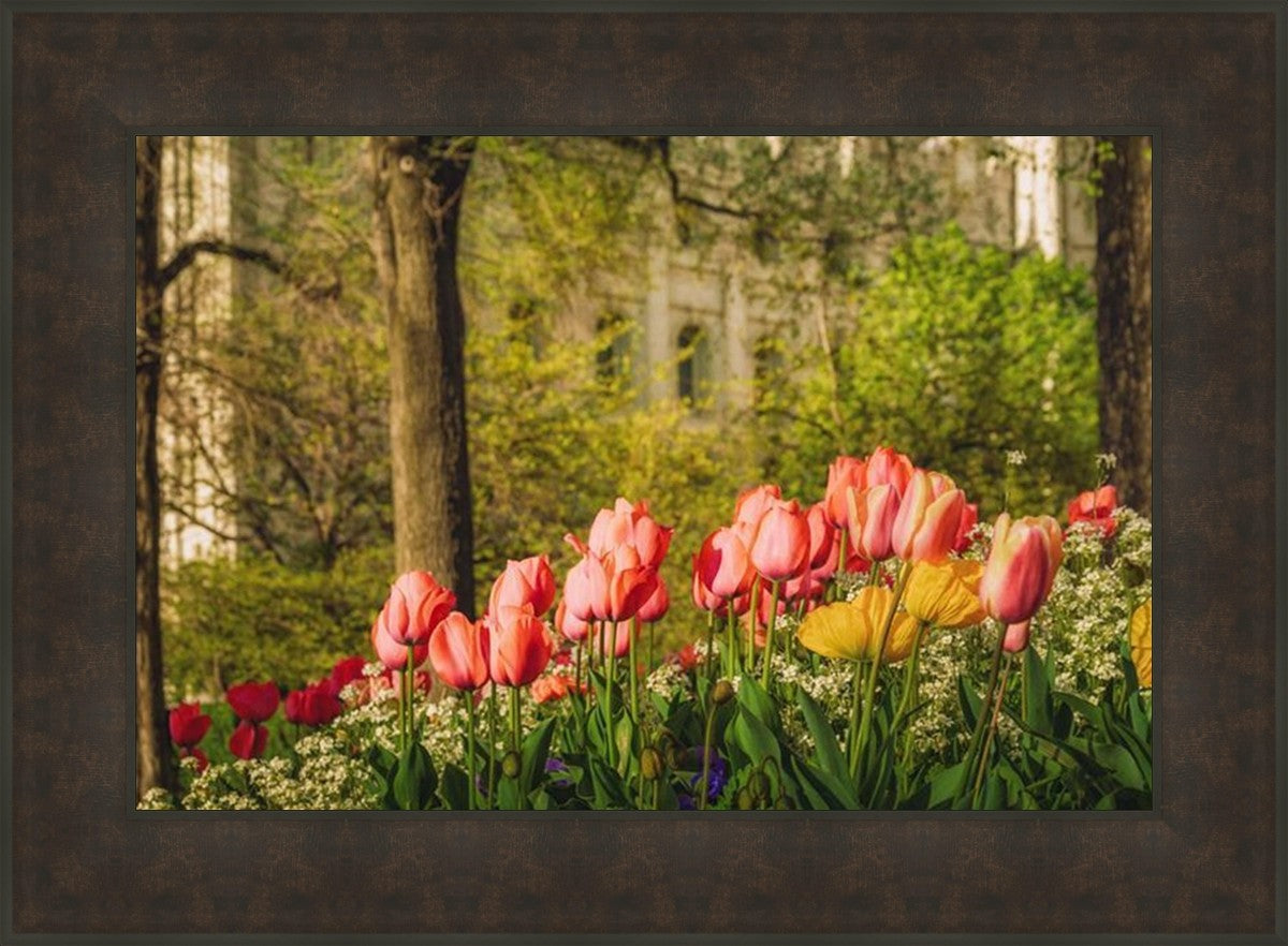 Salt Lake in the Garden