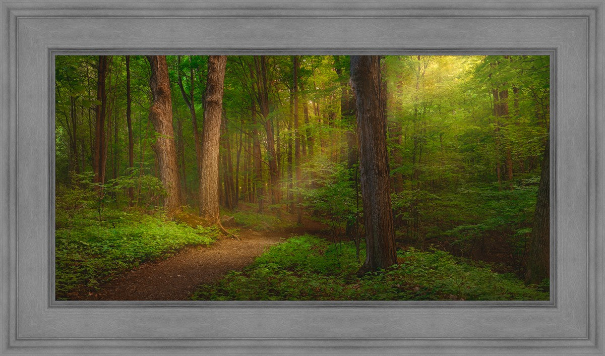 Sacred Grove