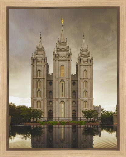 Salt Lake Shelter from the Storm Gallery Wrap