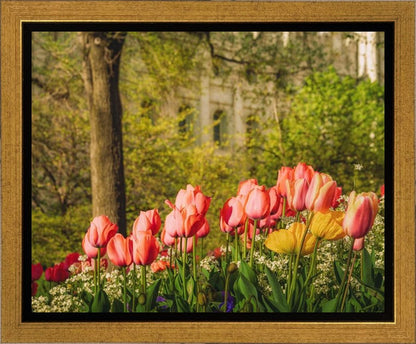 Salt Lake In The Garden Gallery Wrap