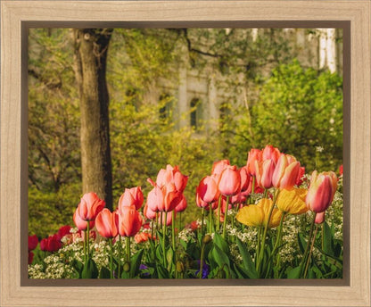 Salt Lake In The Garden Gallery Wrap