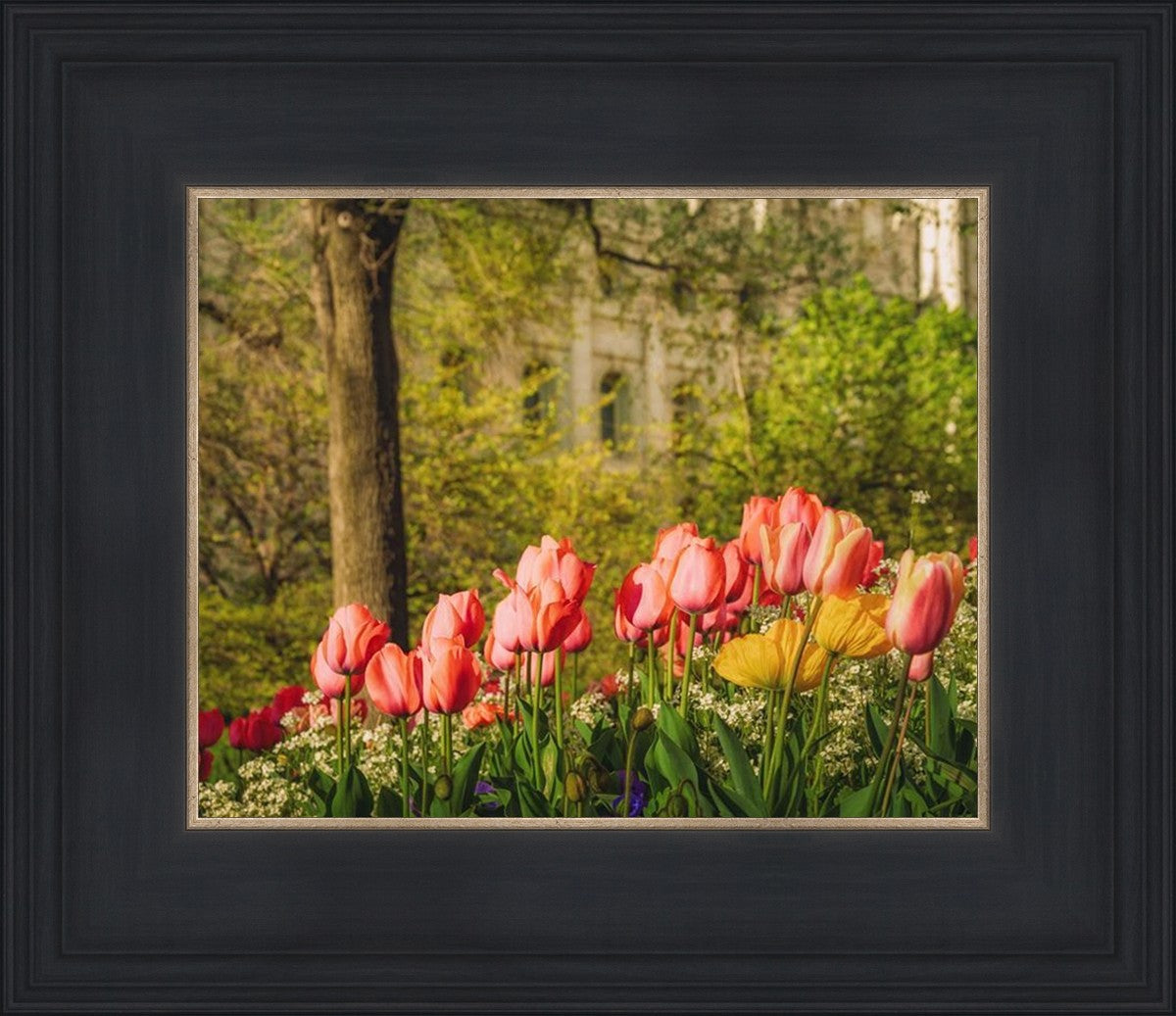 Salt Lake in the Garden