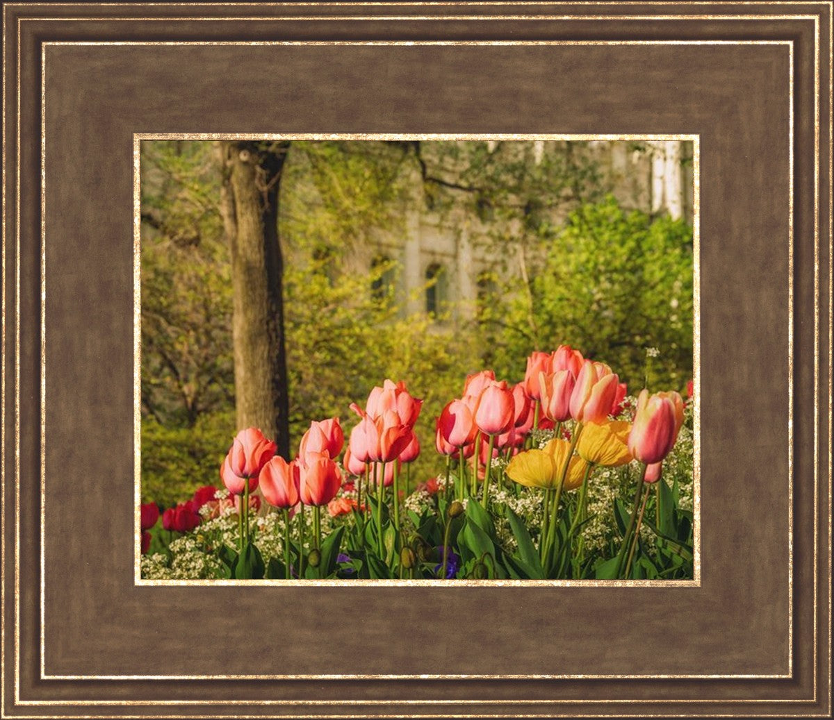 Salt Lake in the Garden