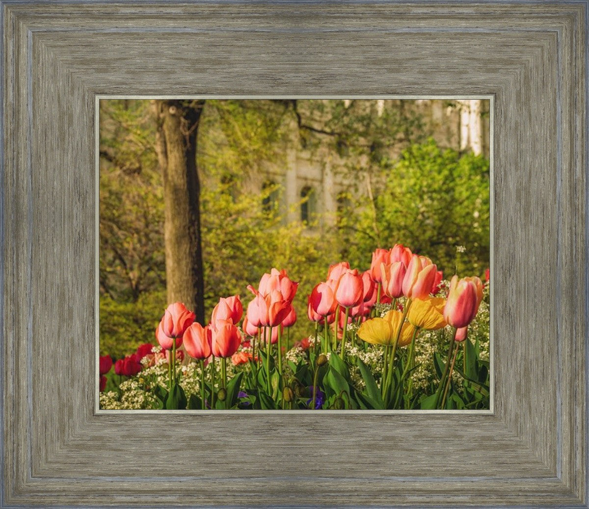 Salt Lake in the Garden