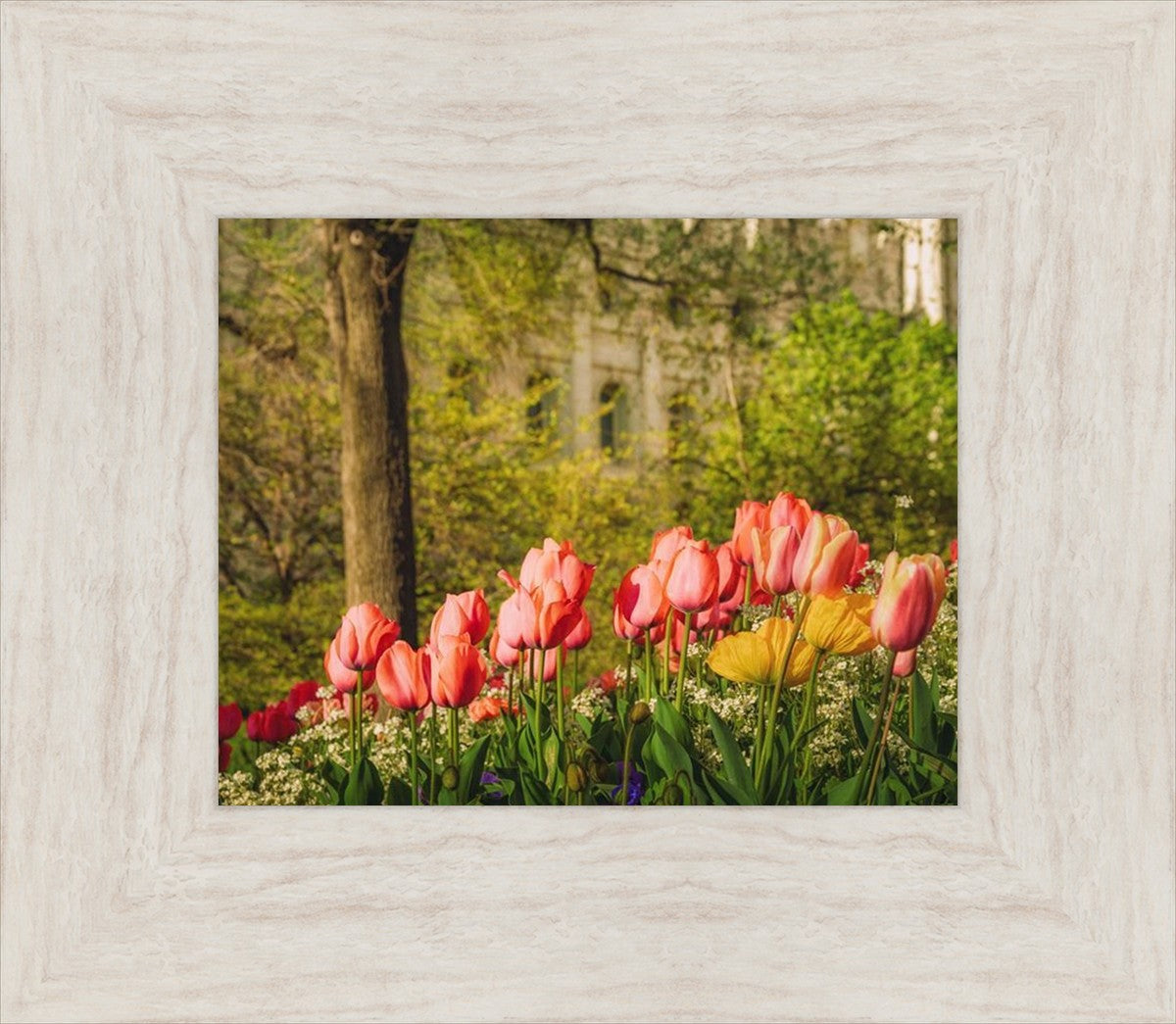 Salt Lake in the Garden