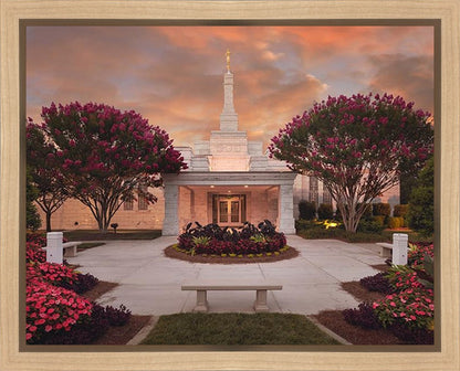 Raleigh Splendor Gallery Wrap