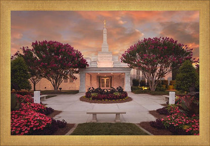 Raleigh Splendor