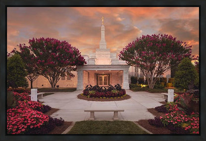 Raleigh Splendor Gallery Wrap