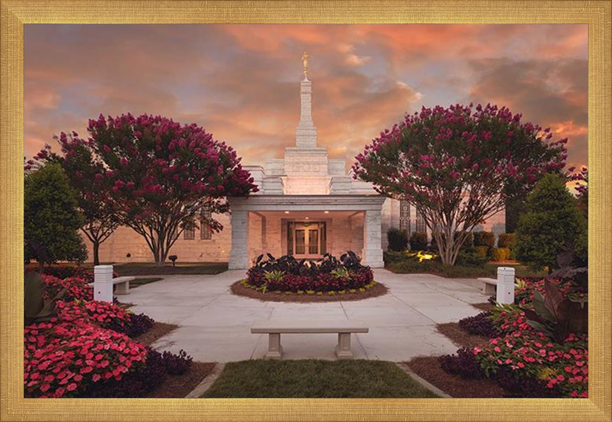 Raleigh Splendor