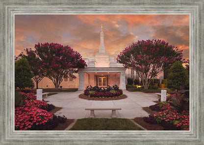 Raleigh Splendor
