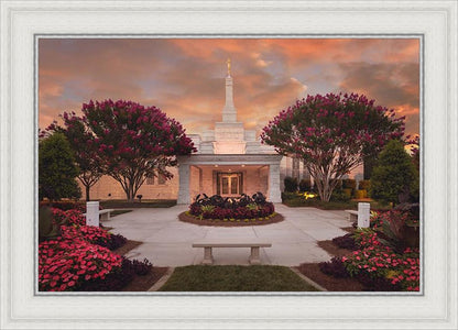 Raleigh Splendor