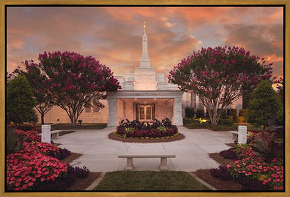 Raleigh Splendor Gallery Wrap